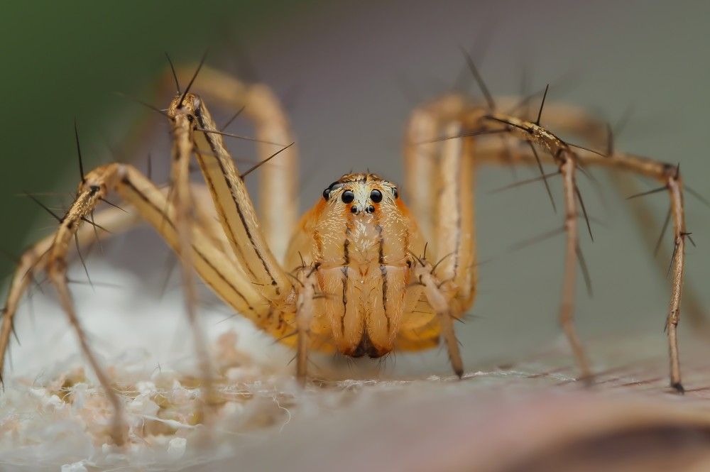 Photograph by Hardeep Solanki