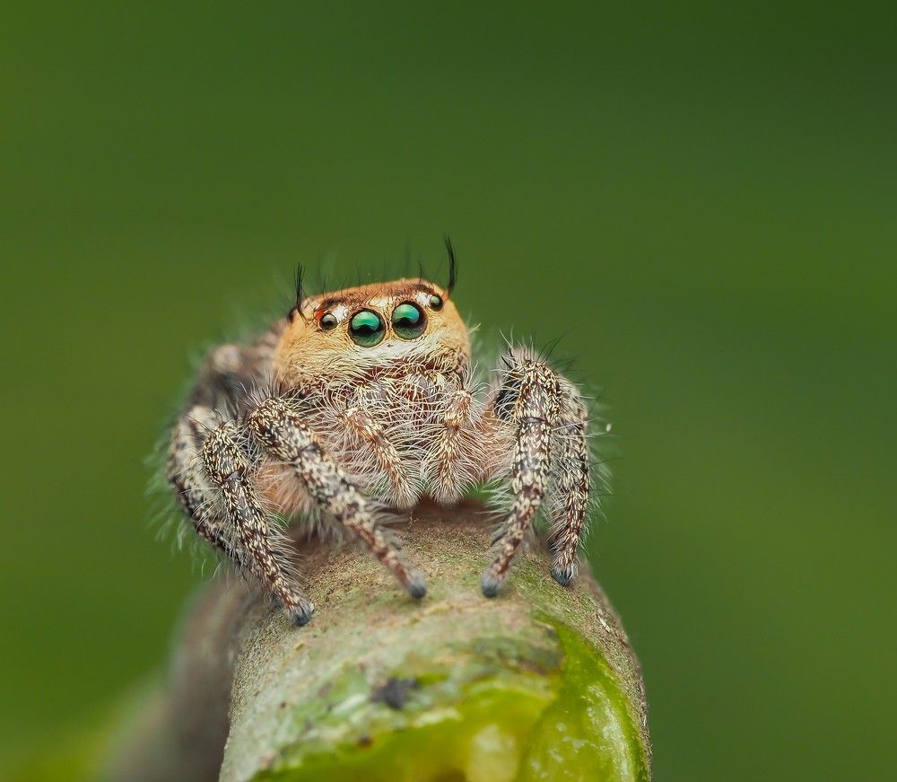 Photograph by Hardeep Solanki