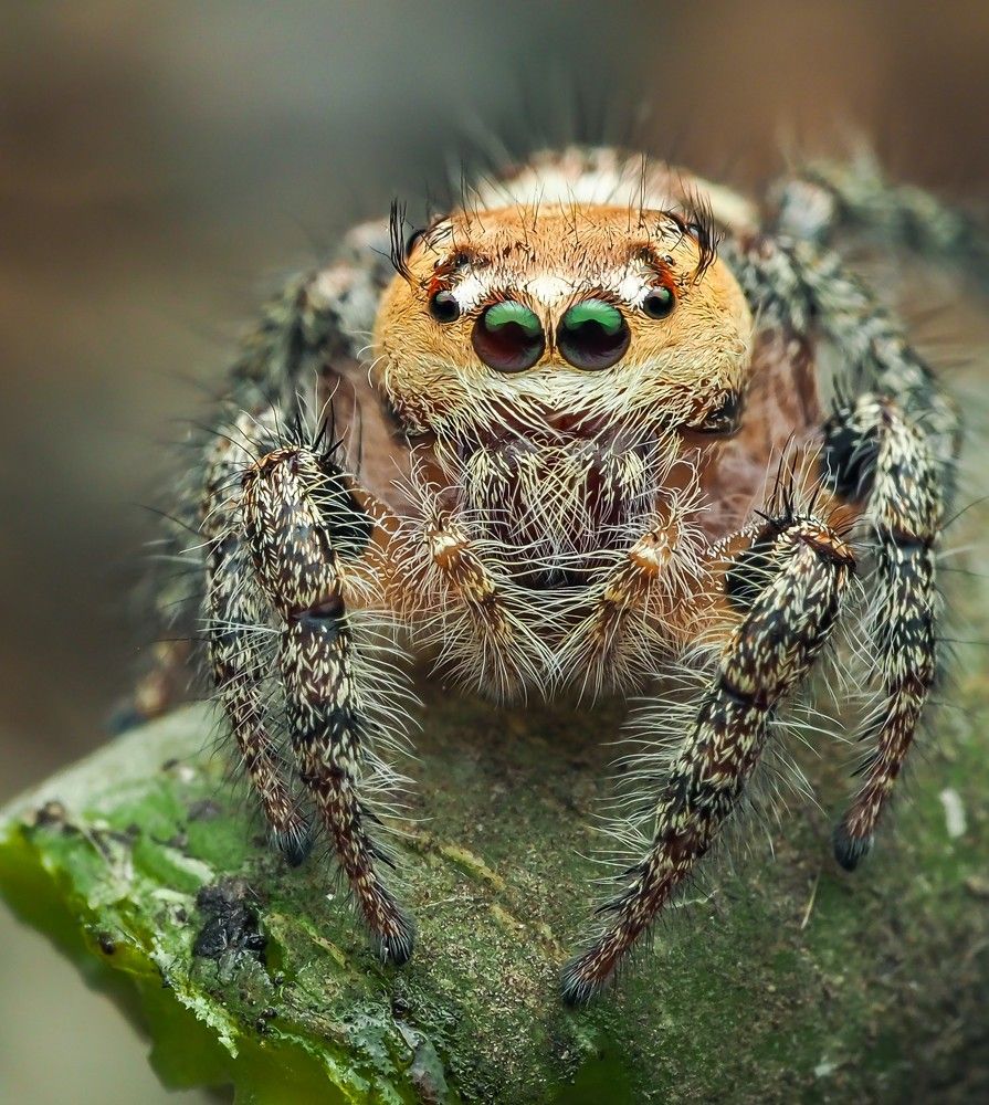 Photograph by Hardeep Solanki