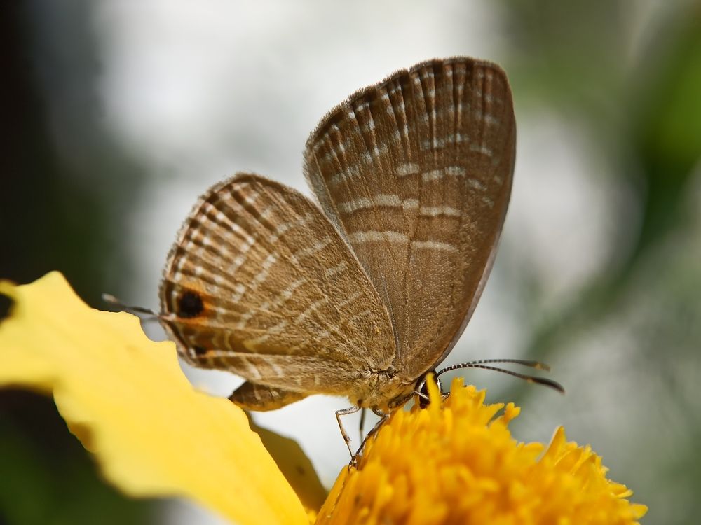 Photograph by Akirul Fahad