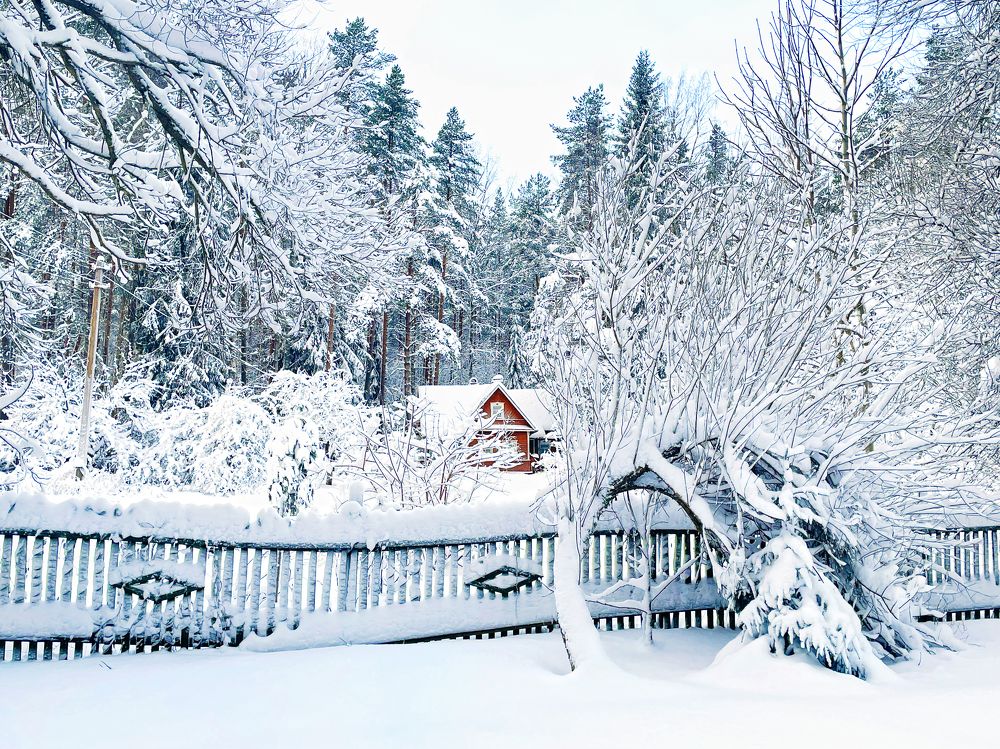 Photograph by Ирина Худзинская