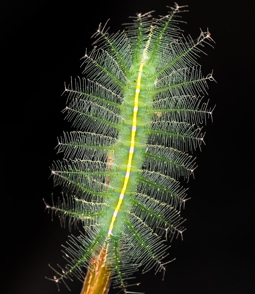 Photograph by Hardeep Solanki