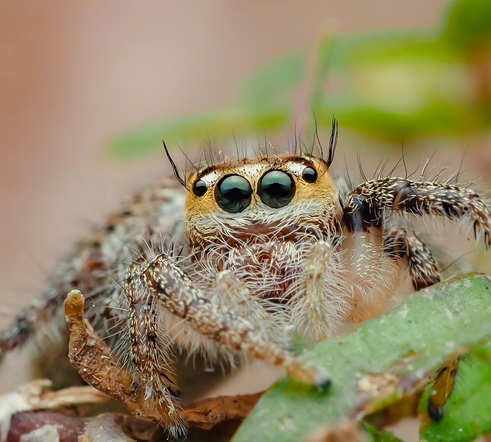 Photograph by Hardeep Solanki