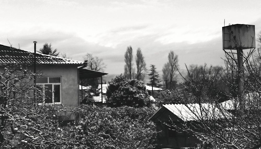 Photograph by Faina