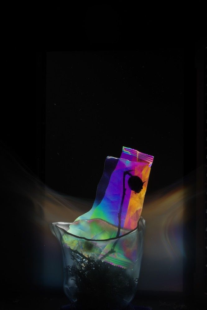 Photograph by ljubov robaltsenko