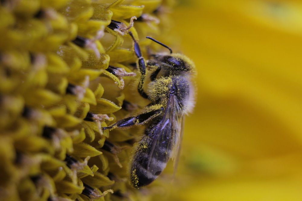 Photograph by Светлана Попкова