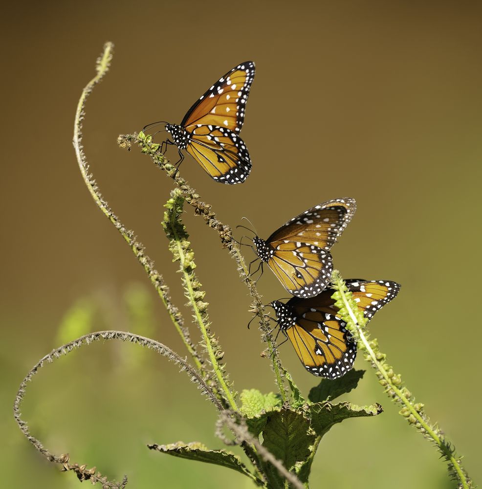 Onde o rio faz a curva
