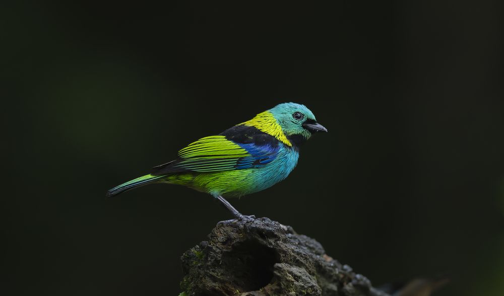 Photograph by Paulo Guerra