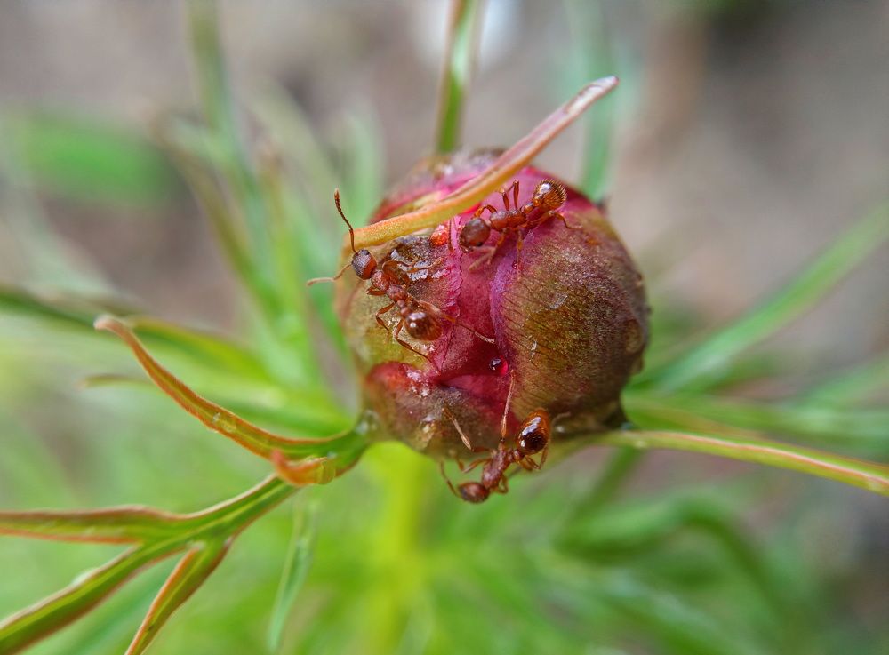 Photograph by Светлана Попкова