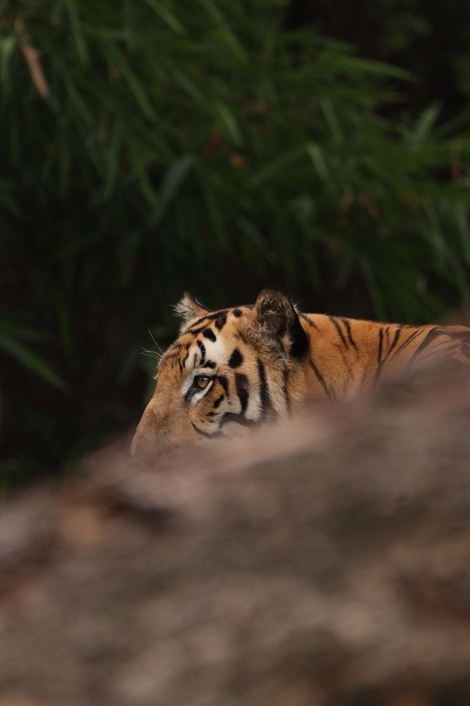 Photograph by Sandeep