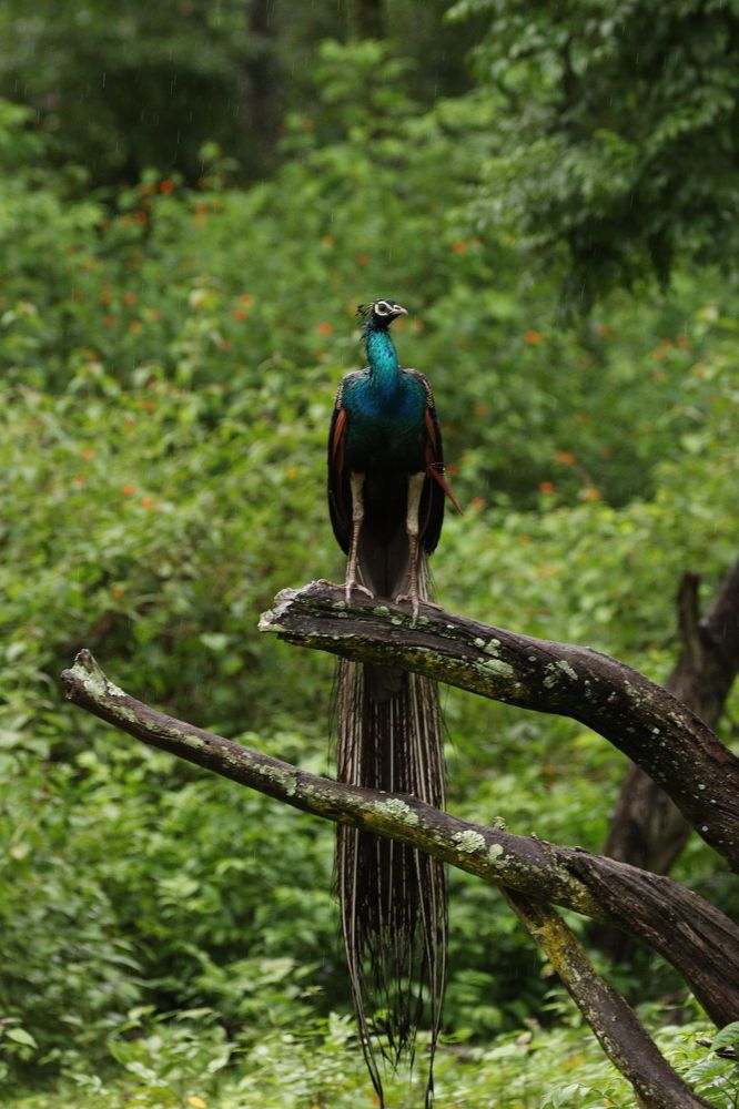 Photograph by Sandeep