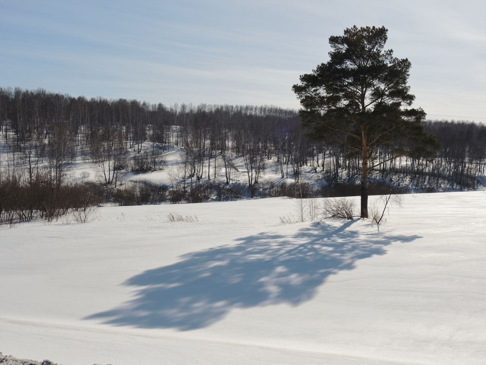 Photograph by Римма Большакова