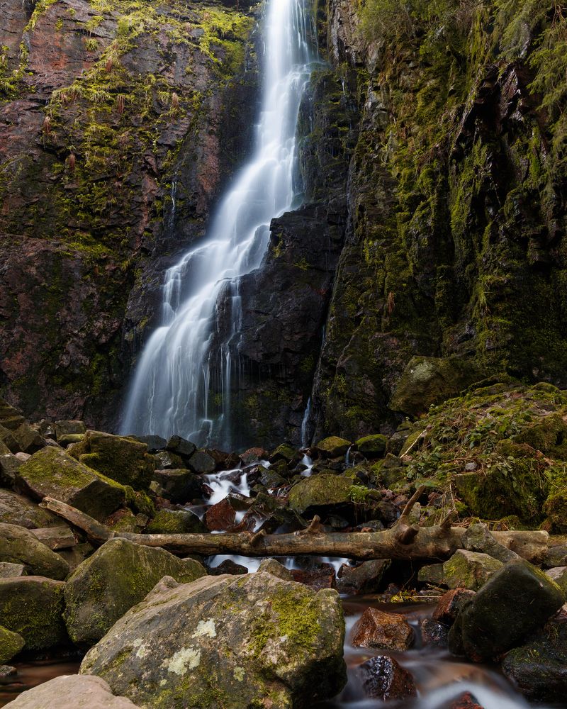 Photograph by Ольга Войчишина