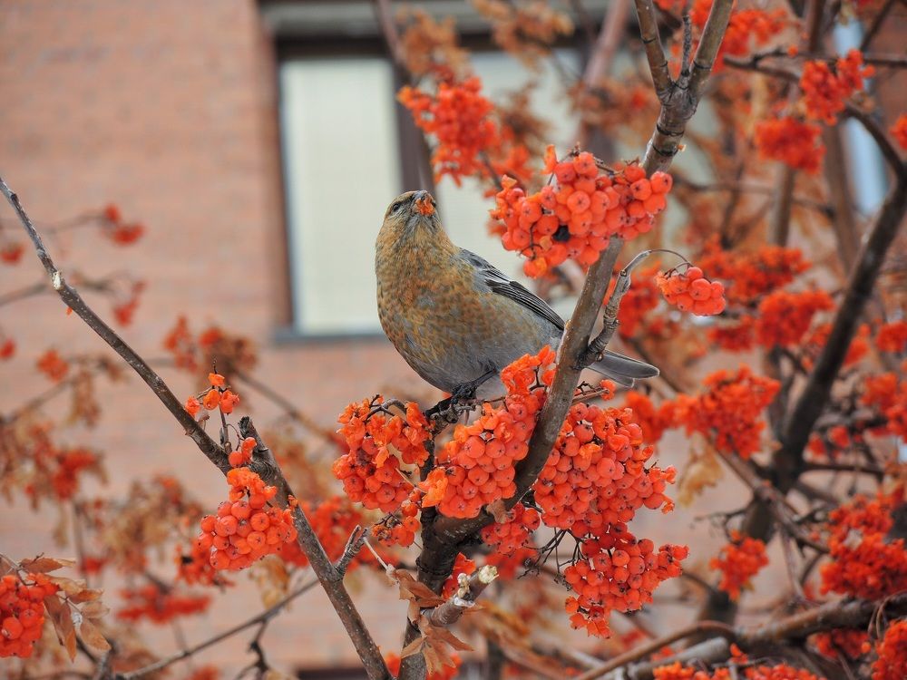 Photograph by Римма Большакова