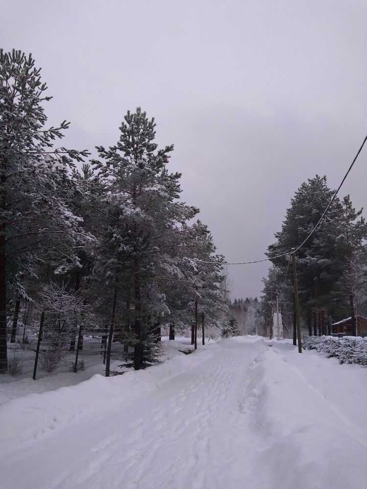 Photograph by Светлана Попкова