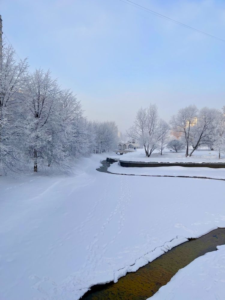 Фотография автора Сычкова Евгения