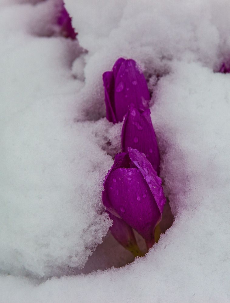 Photograph by Victor Pruhnitskiiy