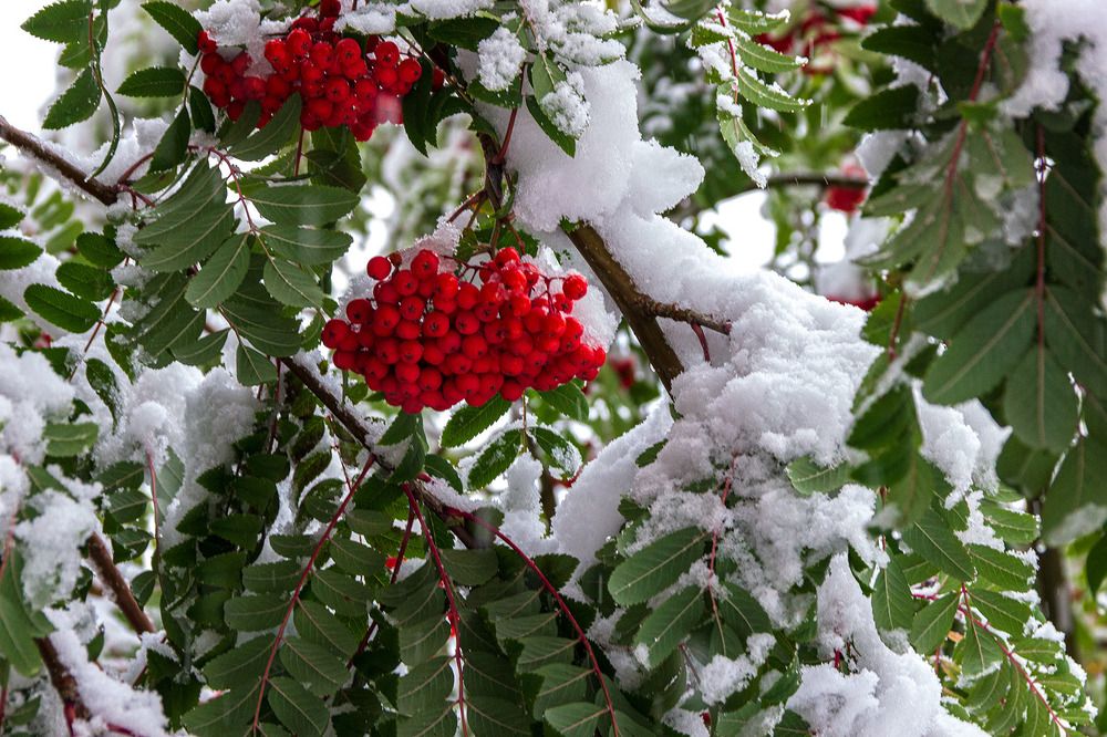 Photograph by Victor Pruhnitskiiy