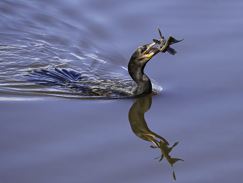 Photograph by Paulo Guerra