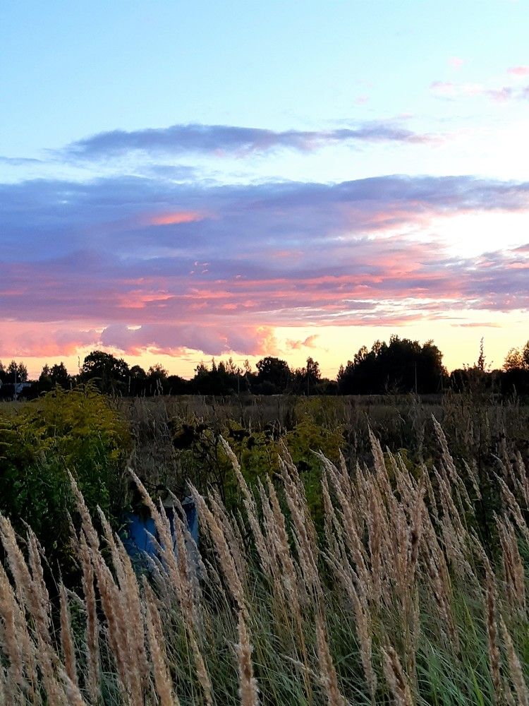 Фотография автора Ирина Лукьянчик