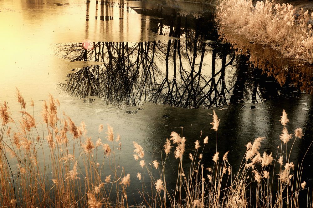 Photograph by Ivanka Iantcheva