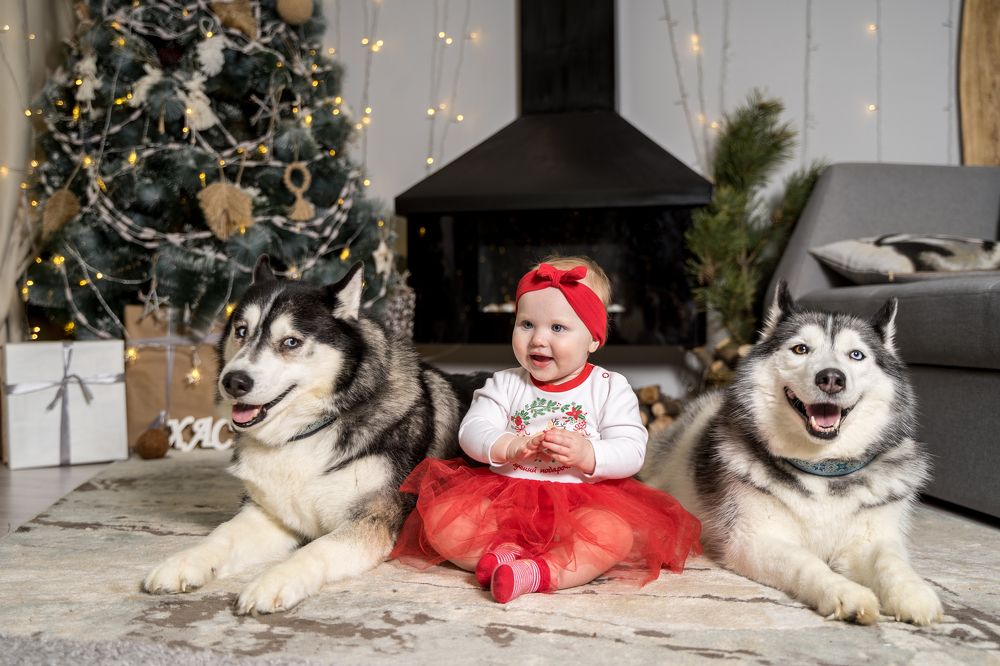 Фотография автора Василиса Новикова