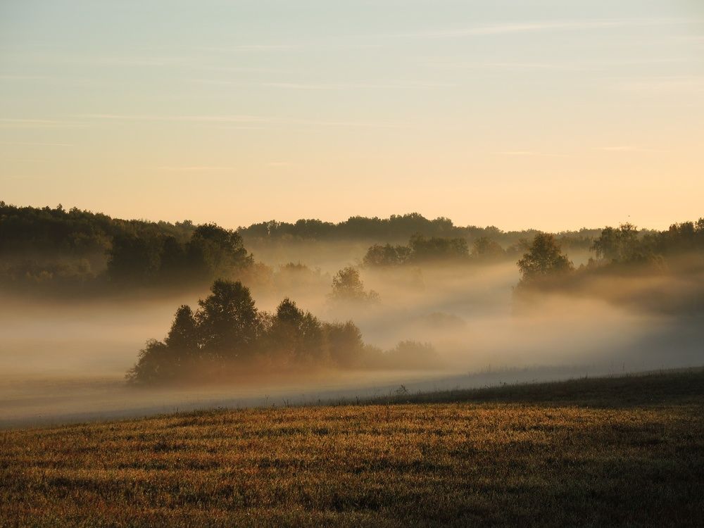 Photograph by Римма Большакова