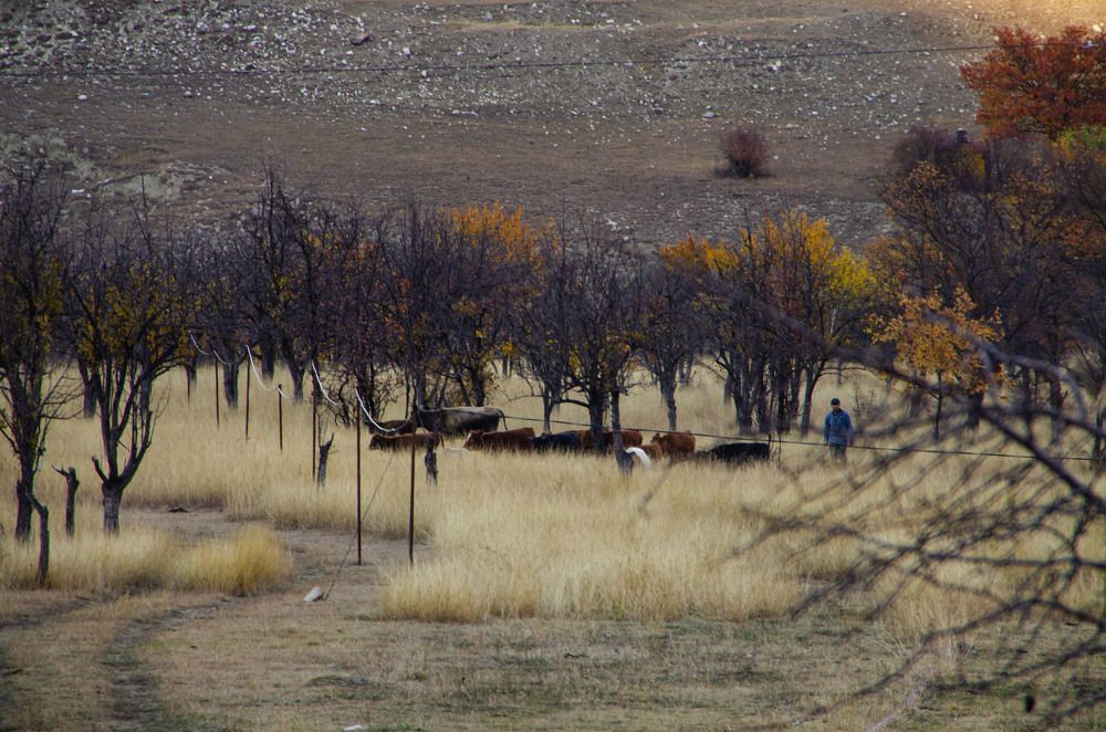 Photograph by Александра Гончаренко Александра Гончаренко