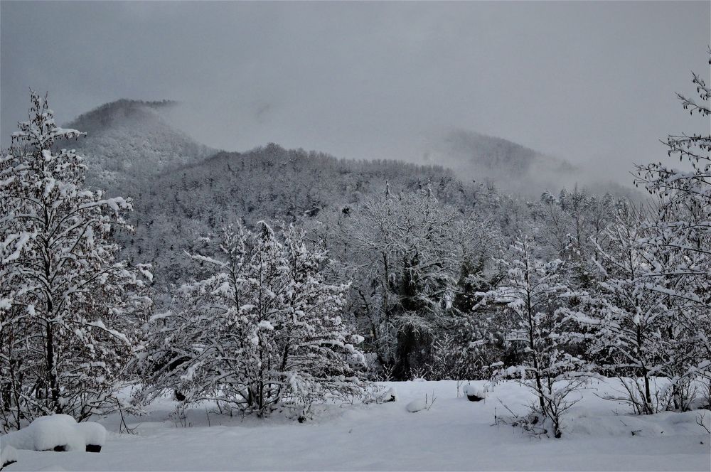 Photograph by Ольга