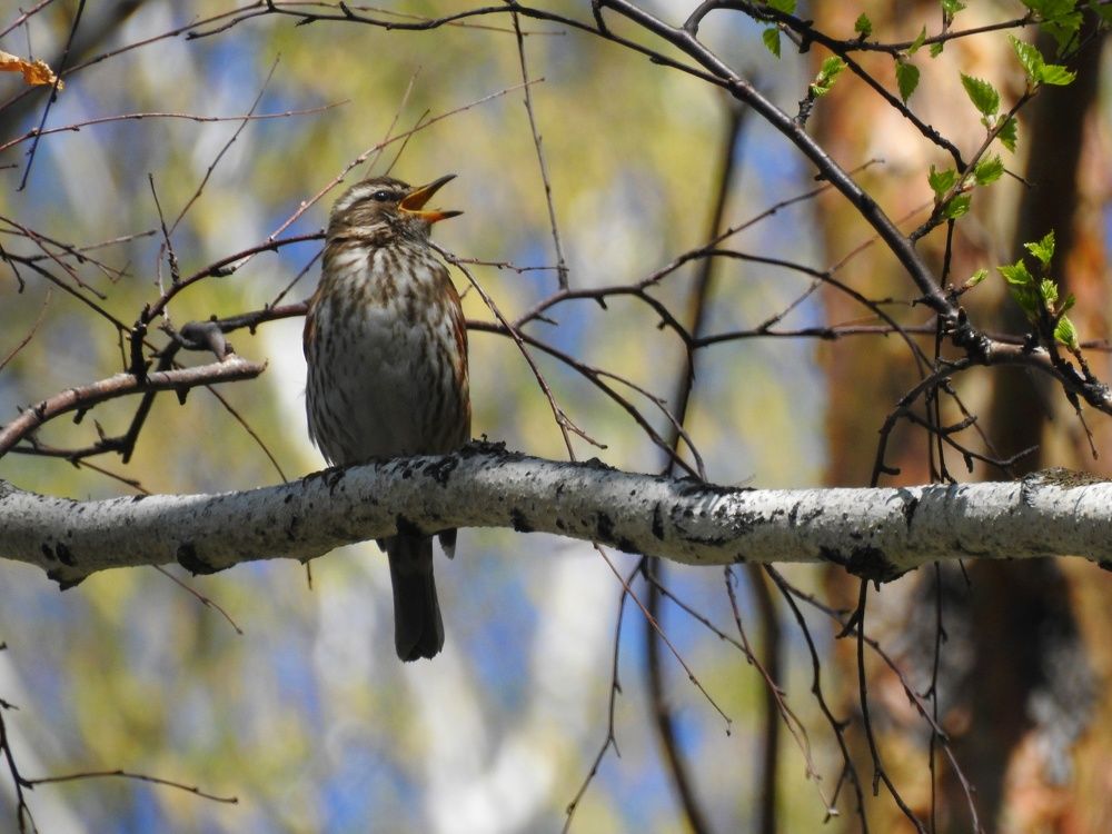 Photograph by Римма Большакова
