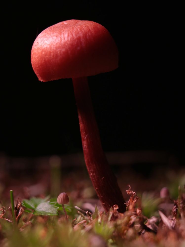 Photograph by Светлана Попкова