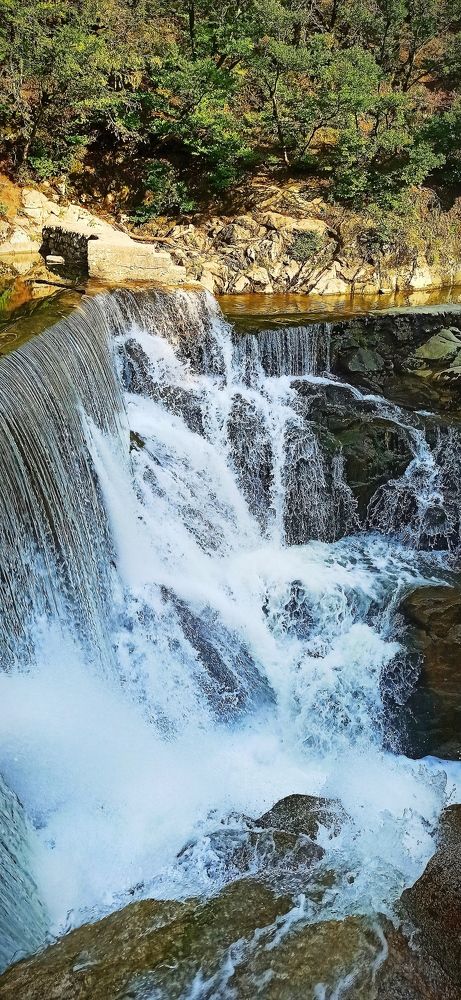 Photograph by Ольга