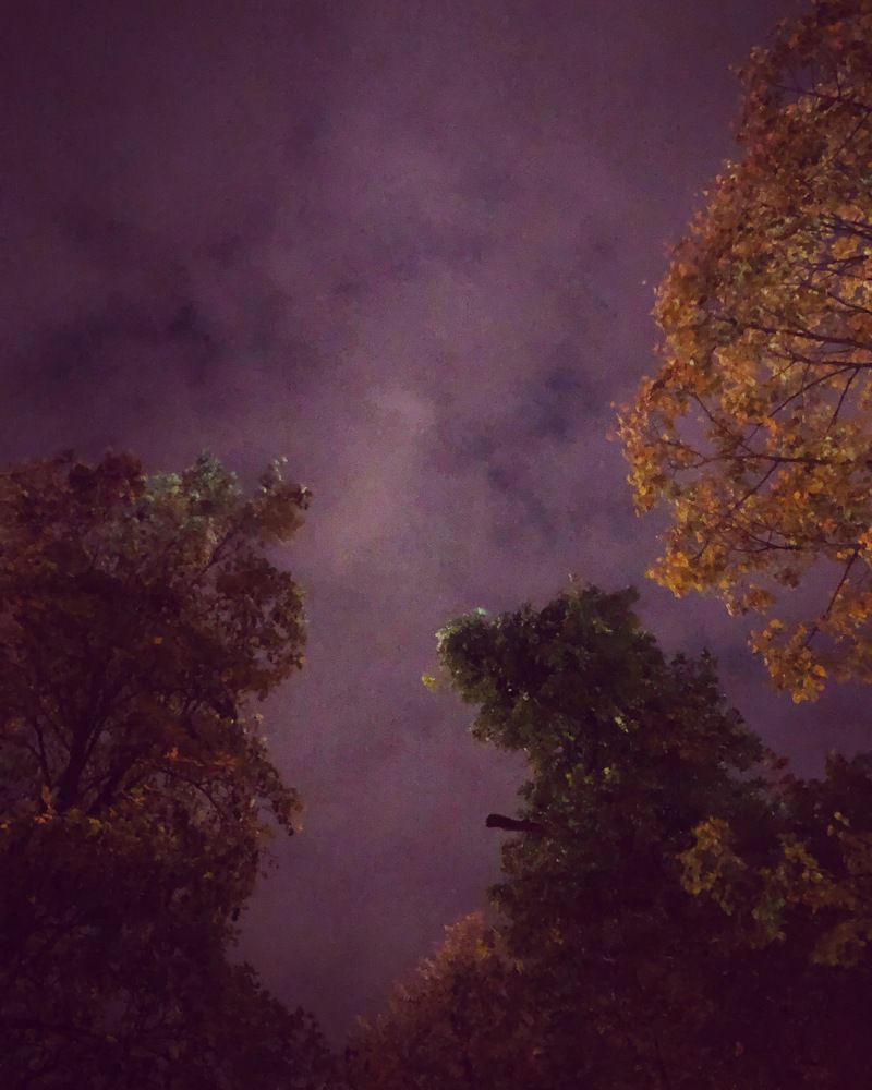 Photograph by Лариса Куторжевская