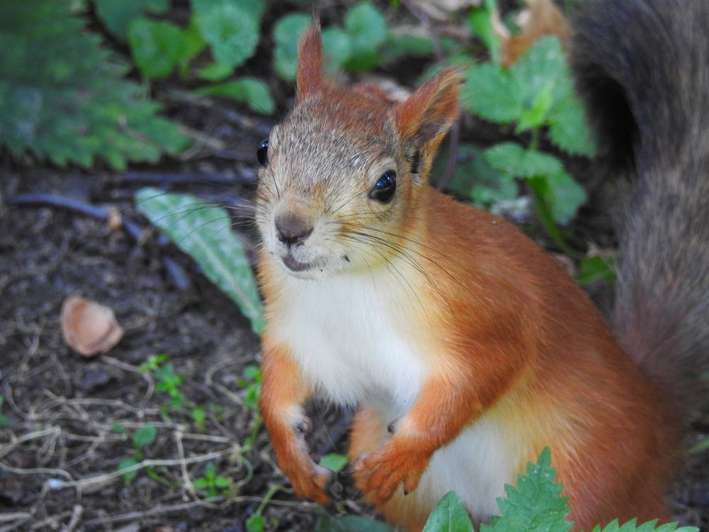 Photograph by Римма Большакова