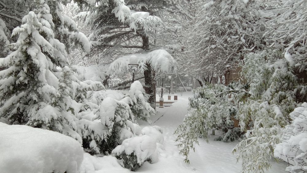 Photograph by Стаскевич Татьяна