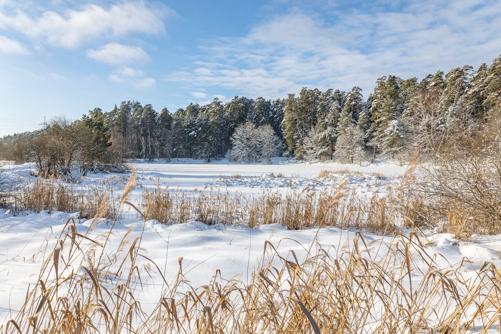 Photograph by Герман Корнеев