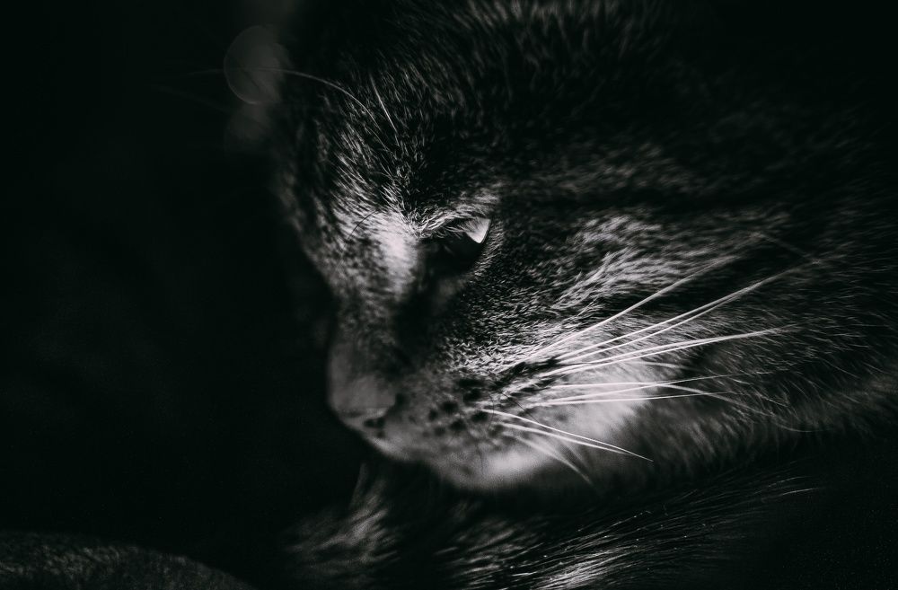 Photograph by Алексей Егоров