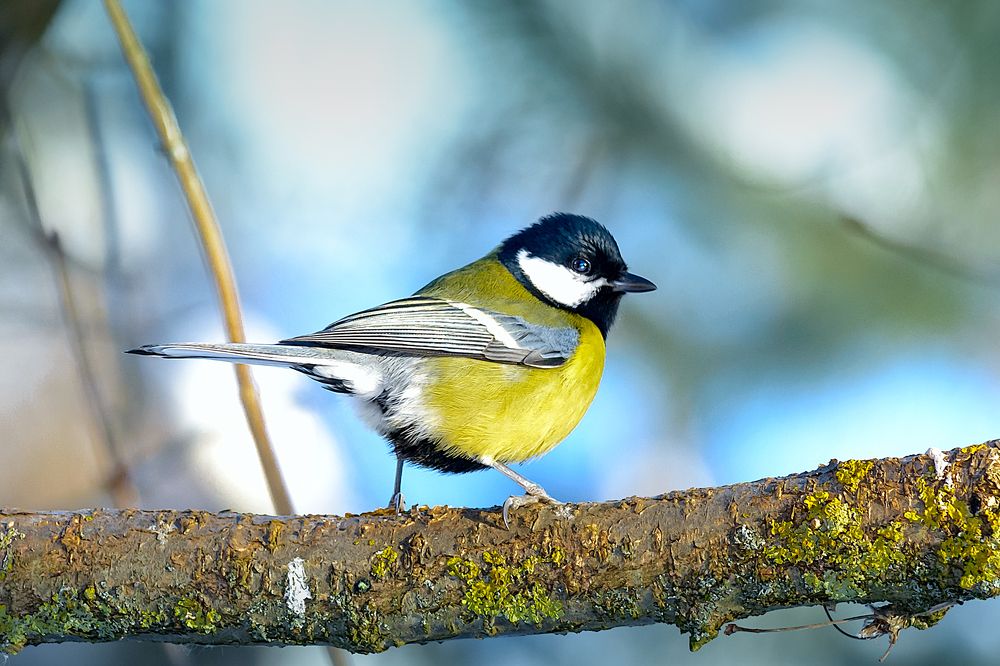 Photograph by Андрей Симаков