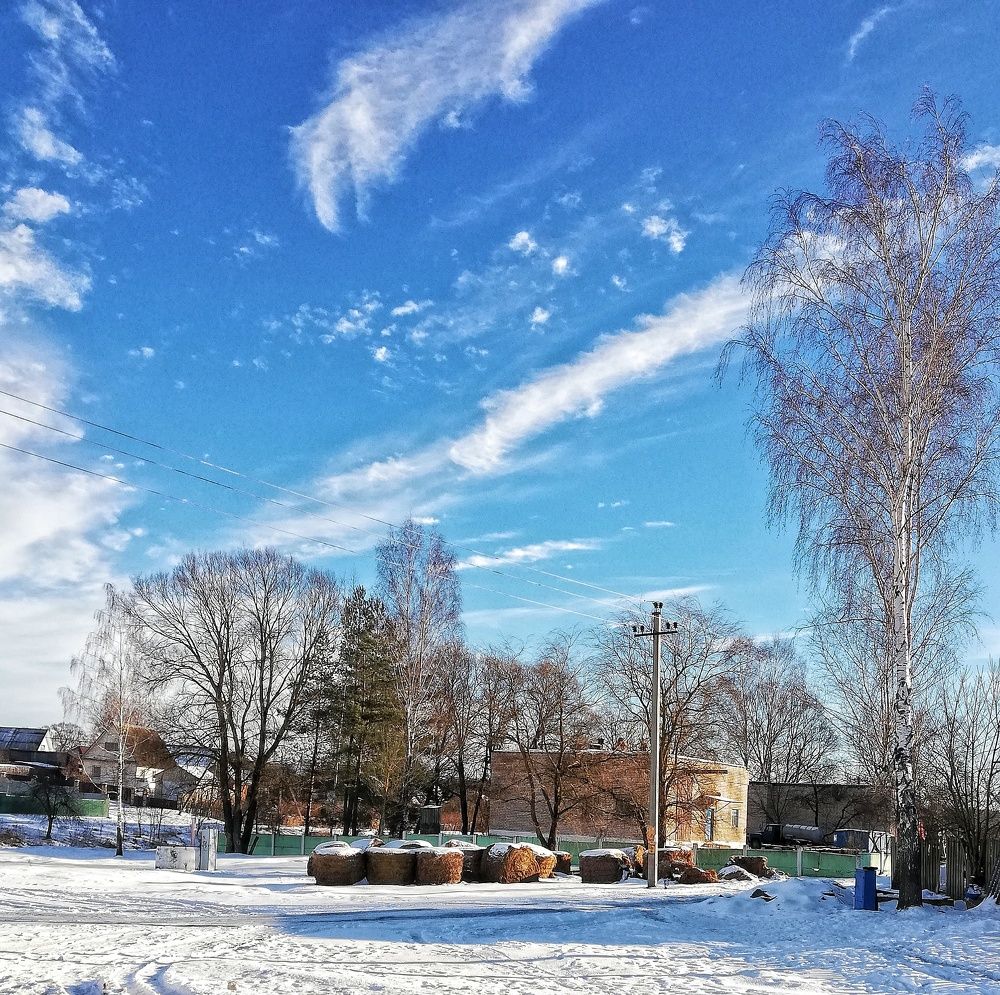 Photograph by Ксения Пацеева