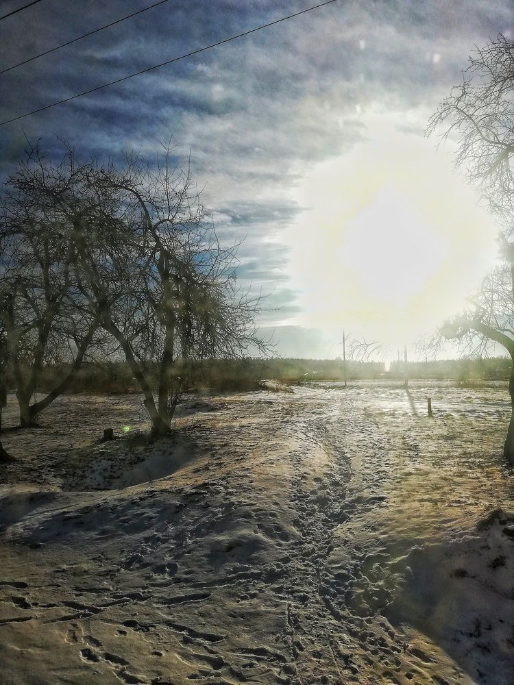 Photograph by Ксения Пацеева