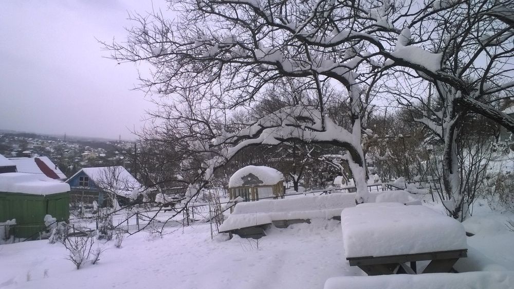 Зима прекрасна и бела:)