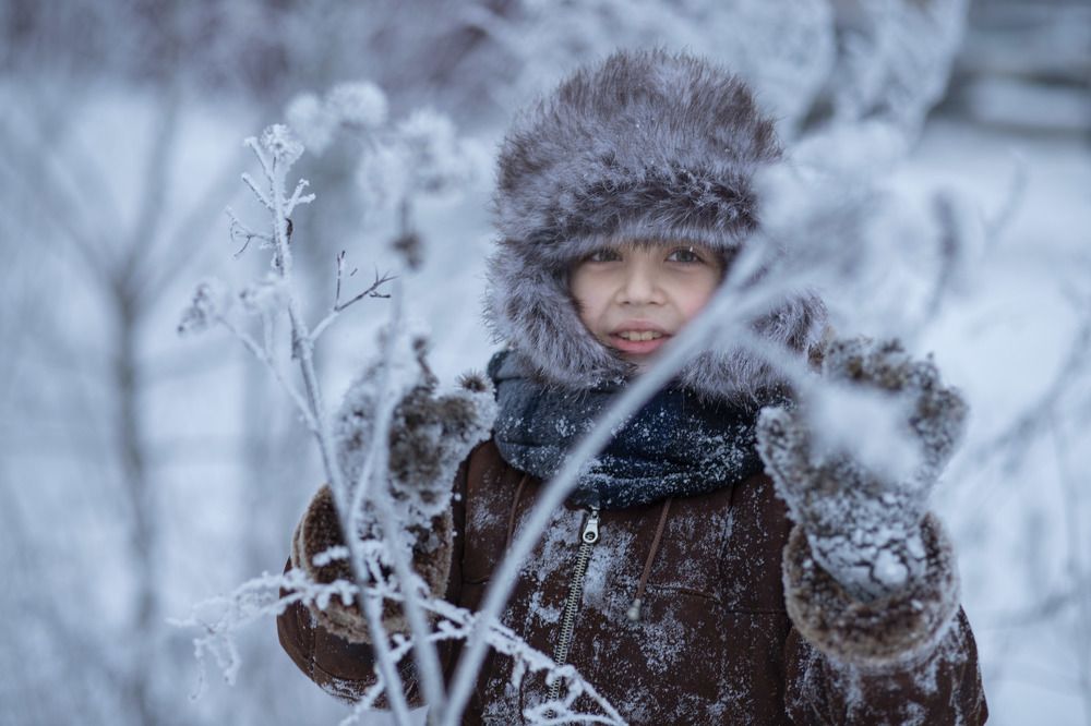 Зимний репейник