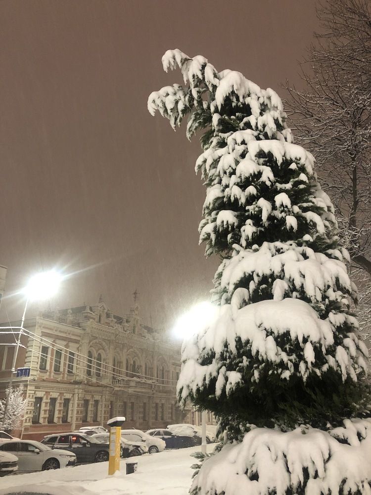 Photograph by Лариса Куторжевская