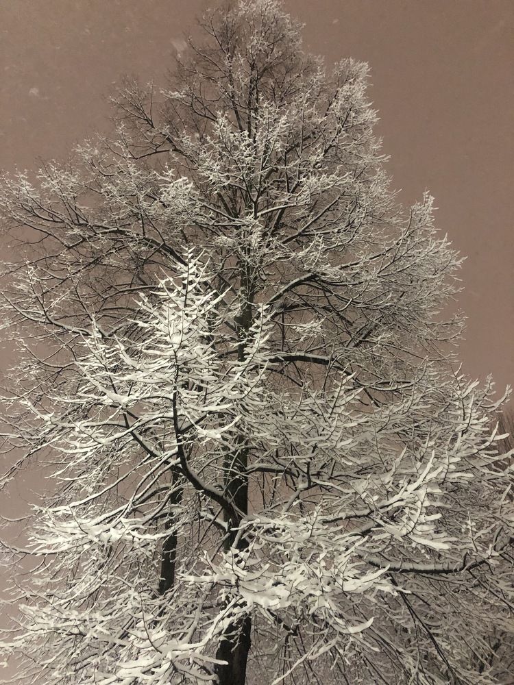 Photograph by Лариса Куторжевская