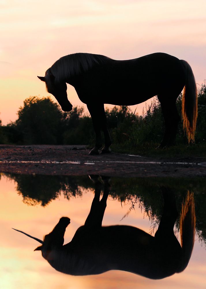Photograph by Яна Орлова