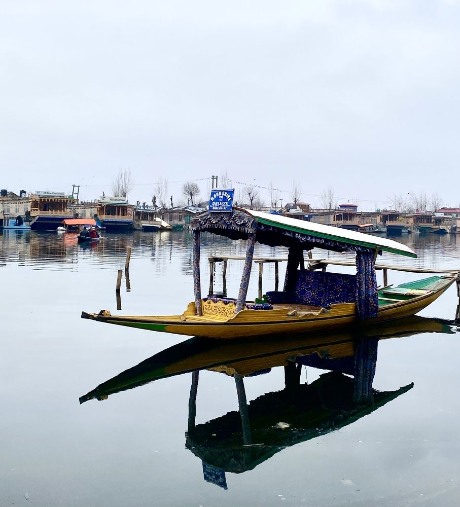 Photograph by Sharma Dr Megha