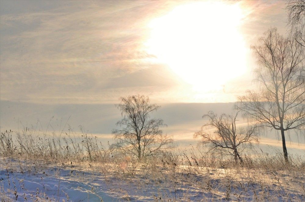 Photograph by Наталья