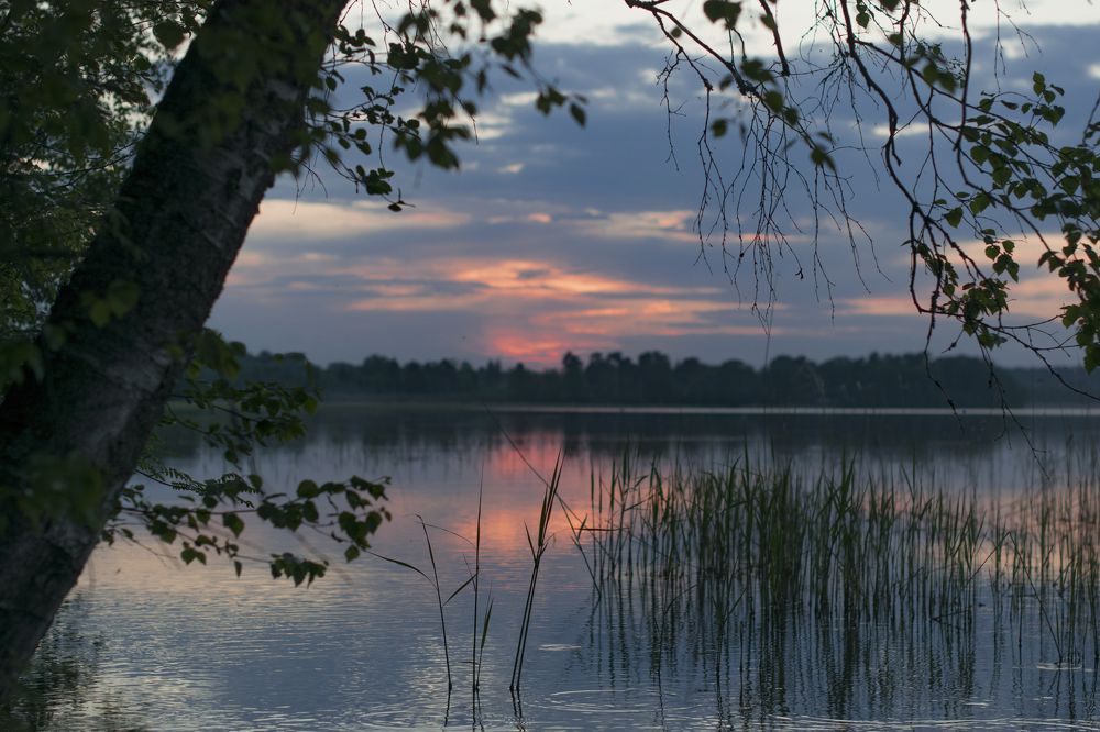 Photograph by Марина Алина