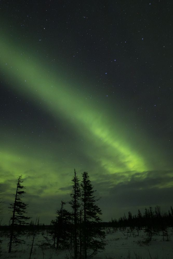 Photograph by Юлия Лазебная