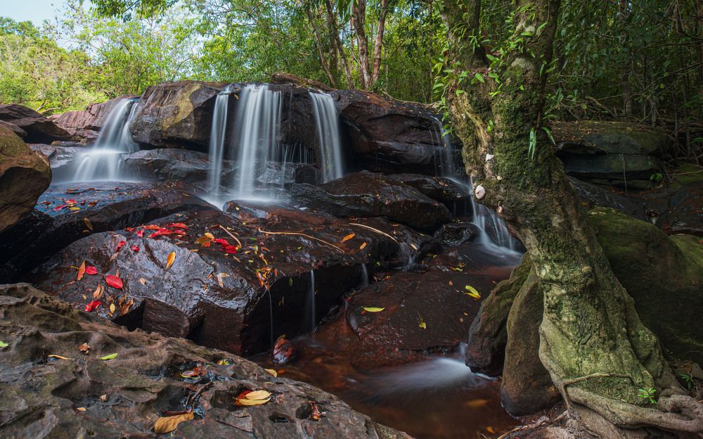 Photograph by Pham Thi Hong Hanh